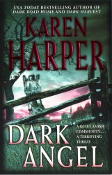 Dark Angel cover